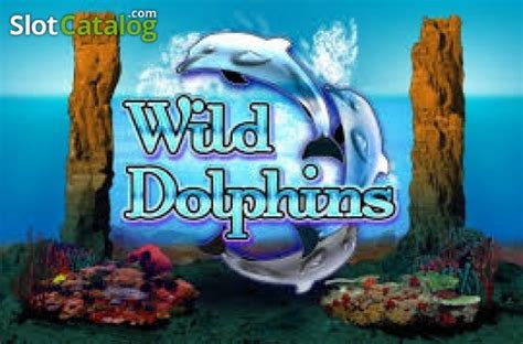 Wild Dolphins Review 2024